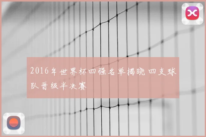 2016年世界杯四强名单揭晓 四支球队晋级半决赛